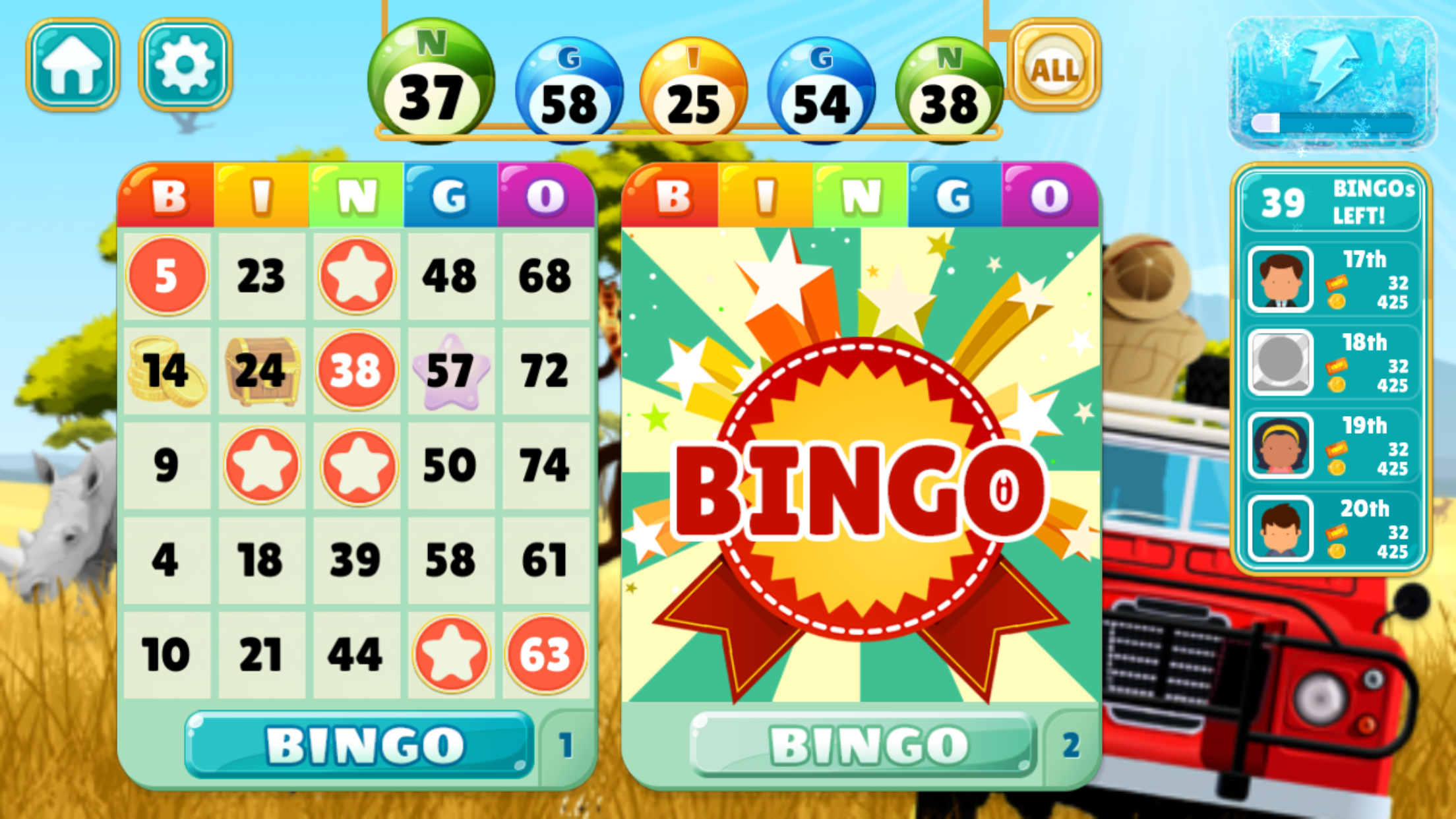 All About Bingo